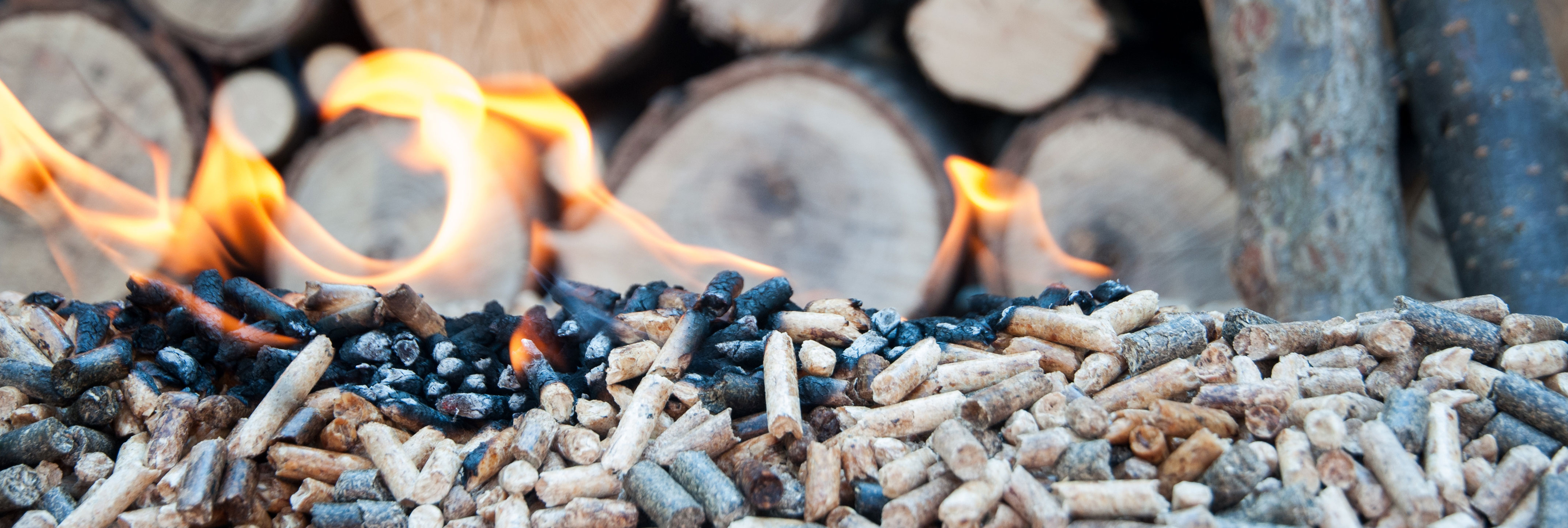New opportunities for biomass energy development under the background of carbon neutrality