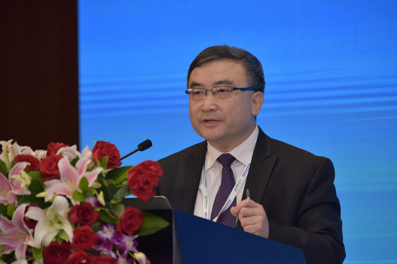 Zou Ji, Professor, Harbin Institute of Technology (Shenzhen) and Renmin University of China