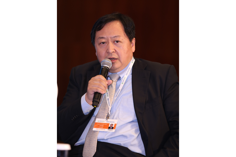 Wang Zhongying, Deputy Director General, Energy Research Institute of the National Development and Reform Commission